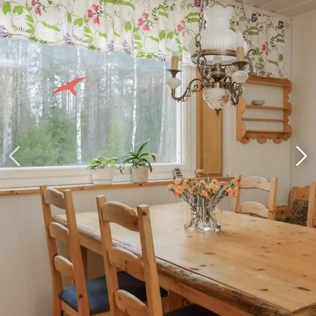 Tatil Evi Revontulet Zh River & Retreat,